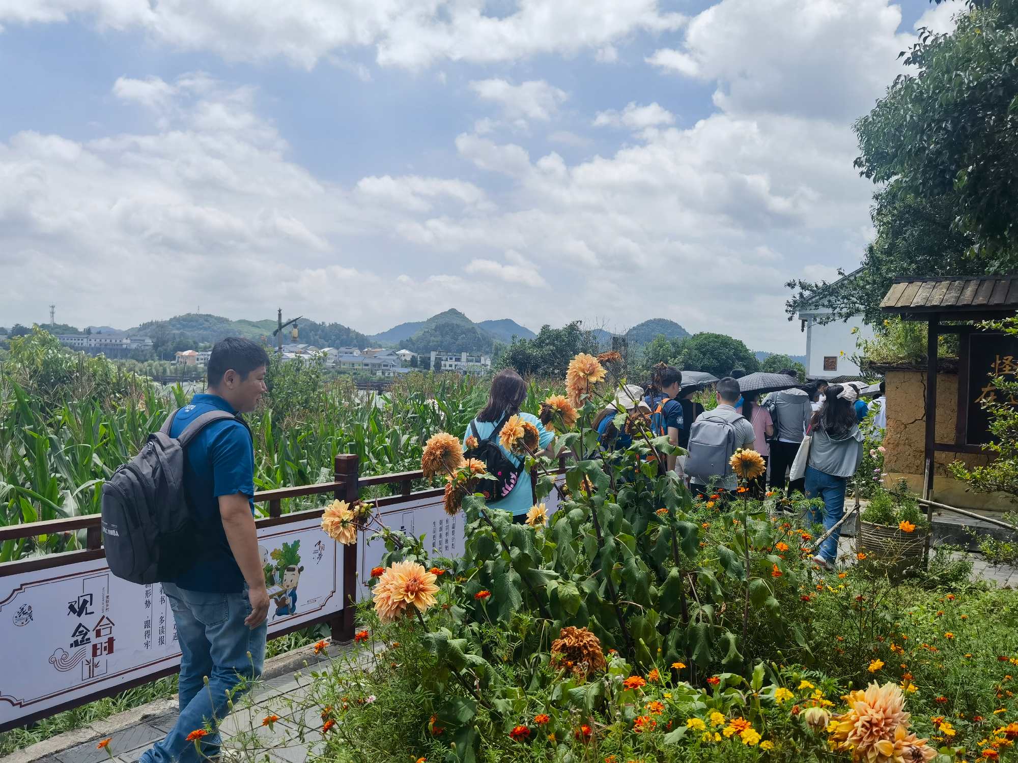 花茂村调研